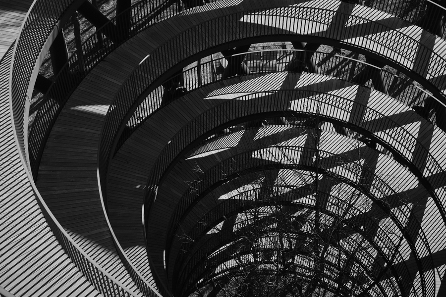 The Forrest TOWER Shadows